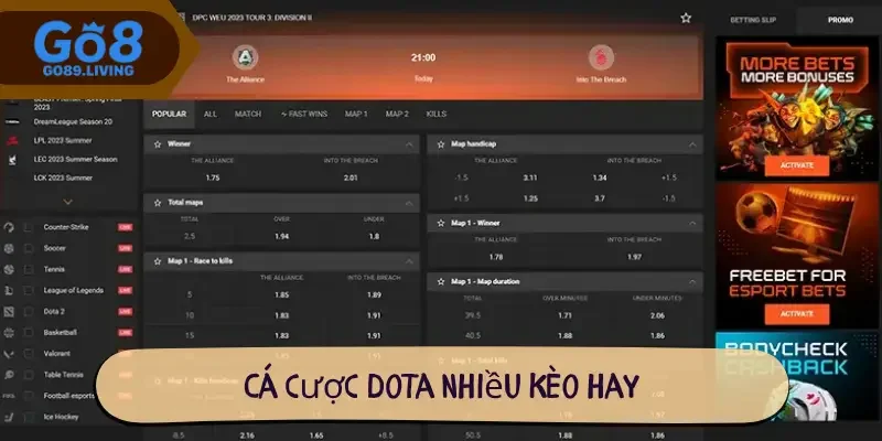 Cá cược Dota nhiều kèo hay